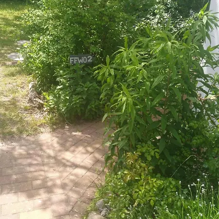 Apartment Fuer 2 Erwachsene Und 2